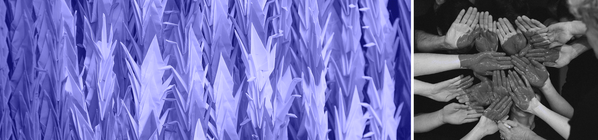 Membership Add-Ons and Donations